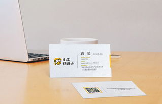 【精品名片設(shè)計(jì)印刷,萊妮紙,白卡紙,剛古紙,珠光紙,雅柔紙】-