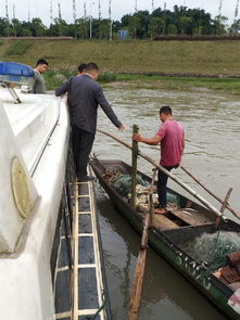 南溪區開展國慶節前漁船安全生產專項檢查，確保畜牧漁業飼料銷售與漁業生產安全