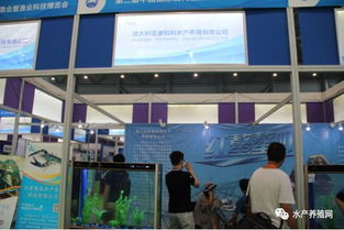 近500家水產產業鏈企業齊聚合肥漁博會，現場亮點紛呈，行業盛事引領產業新方向